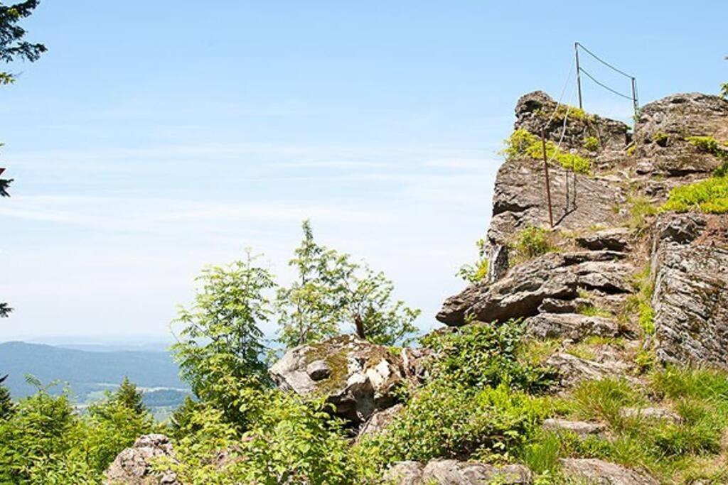 Bayerwald Chalet Kaitersberg Mit Sauna, Sonnenterrasse Und Garten ارنبروك المظهر الخارجي الصورة