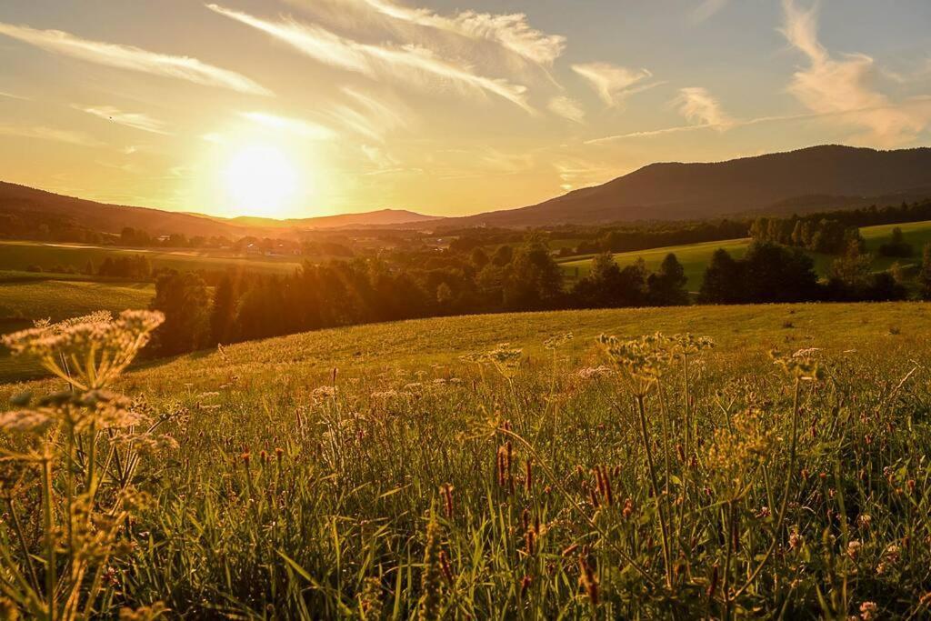 Bayerwald Chalet Kaitersberg Mit Sauna, Sonnenterrasse Und Garten ارنبروك المظهر الخارجي الصورة