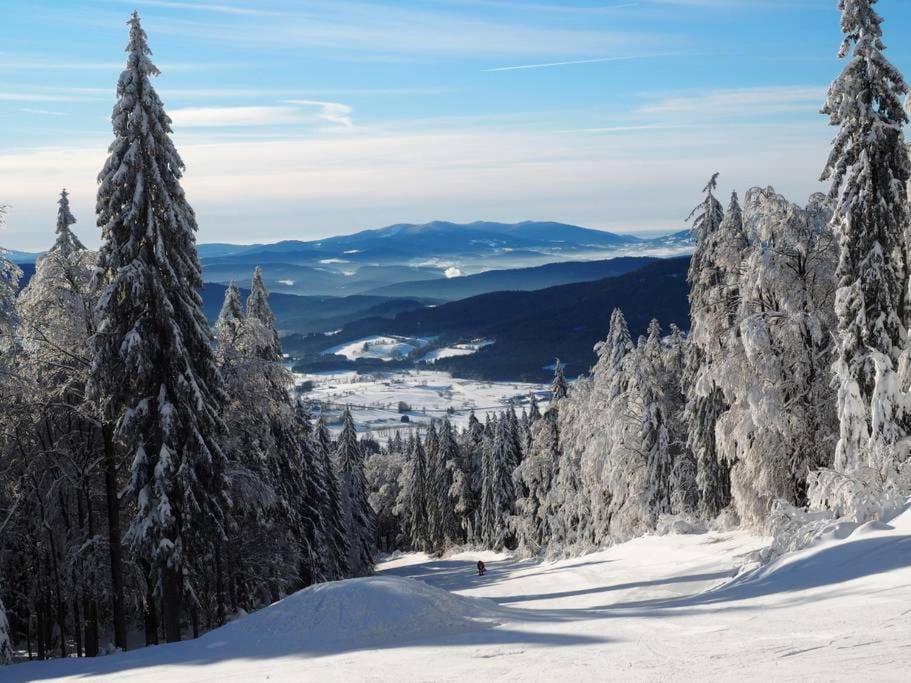 Bayerwald Chalet Kaitersberg Mit Sauna, Sonnenterrasse Und Garten ارنبروك المظهر الخارجي الصورة