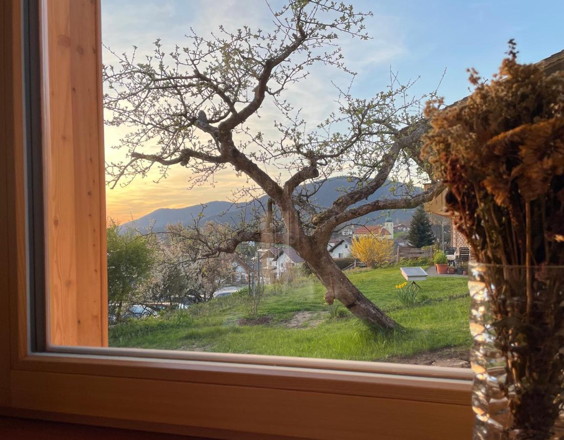 Bayerwald Chalet Kaitersberg Mit Sauna, Sonnenterrasse Und Garten ارنبروك المظهر الخارجي الصورة